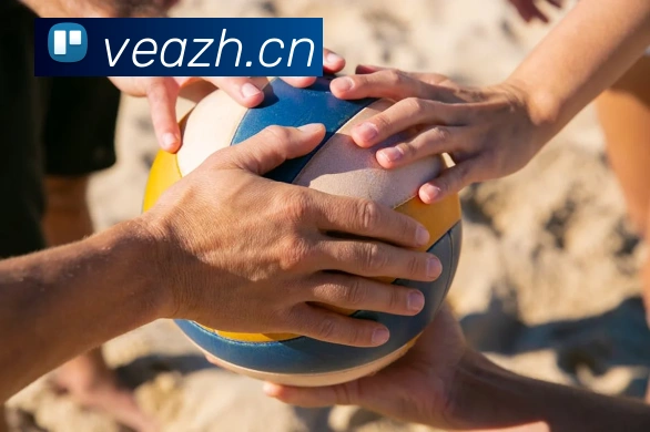 leyu乐鱼在线登录最新官网平台生态图