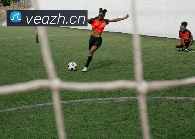 leyu乐鱼在线登录最新官网全站App